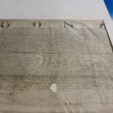 La Sagarriga Visconti nasconde infine anche diversi manoscritti, alcuni dei quali antichissimi. La direttrice prima di salutarci ci mostra con orgoglio la punta di diamante della biblioteca: la pergamena di Bona Sforza